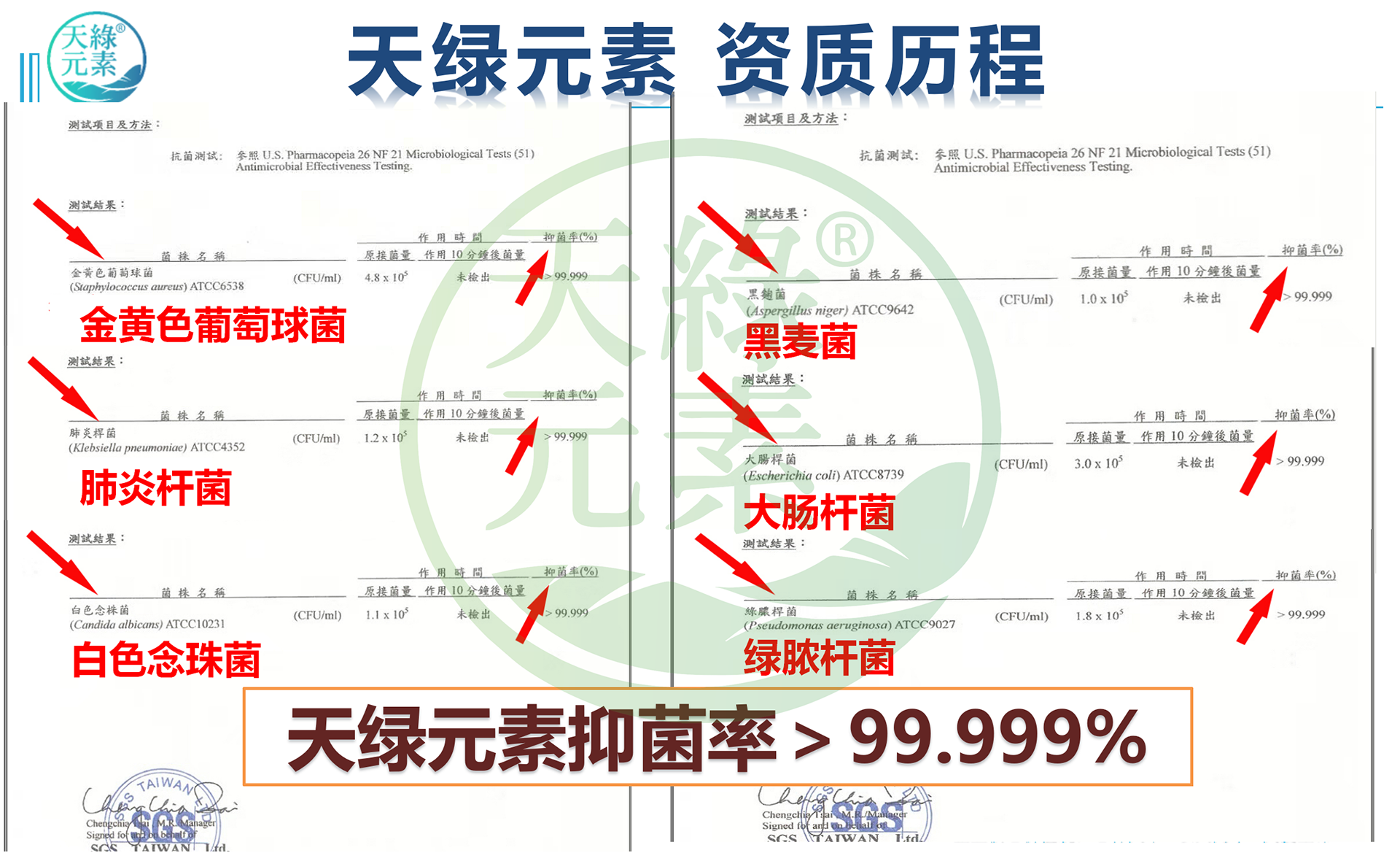 天綠元素介紹 2023.2.13-內(nèi)部_21.png